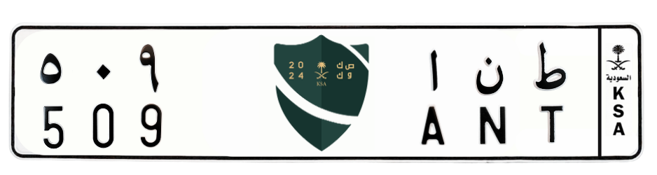 لوحة ط ن ا 509